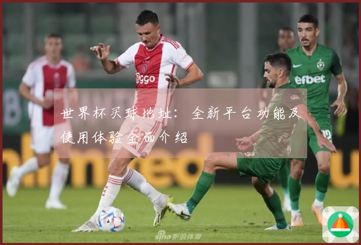 世界杯买球地址：全新平台功能及使用体验全面介绍