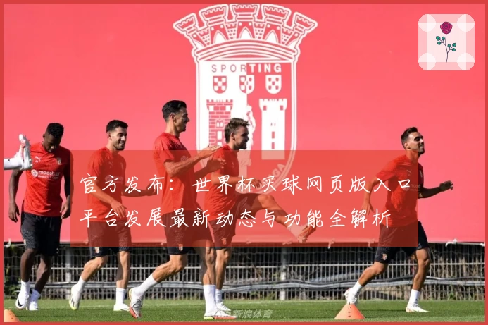 官方发布：世界杯买球网页版入口平台发展最新动态与功能全解析