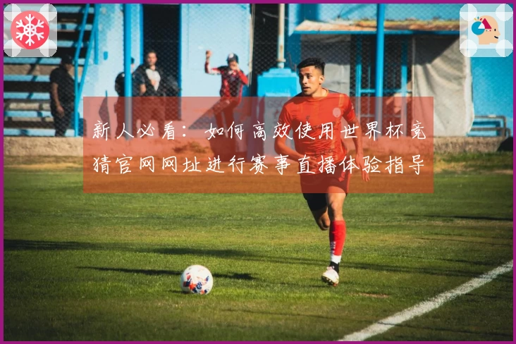 新人必看：如何高效使用世界杯竞猜官网网址进行赛事直播体验指导