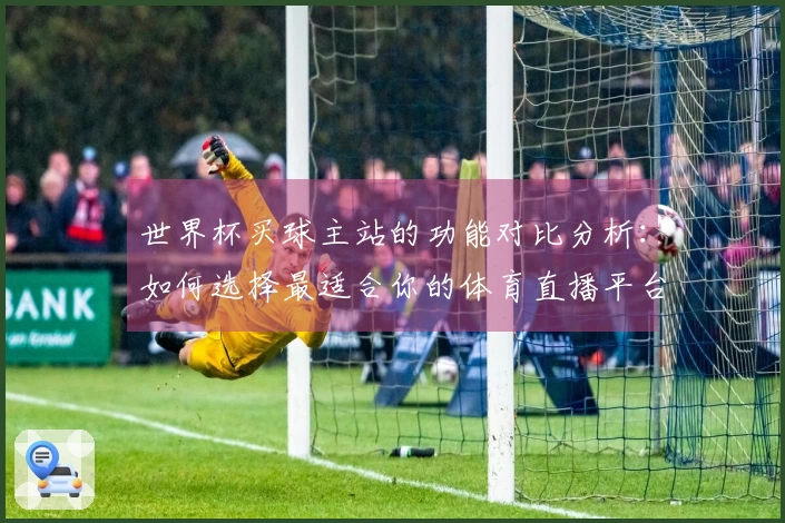 世界杯买球主站的功能对比分析：如何选择最适合你的体育直播平台